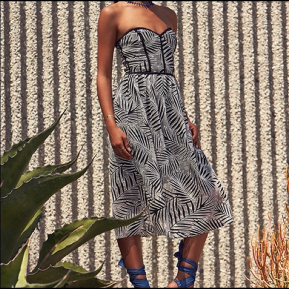 Parker - Azalea Black White Palm Print Midi Dress